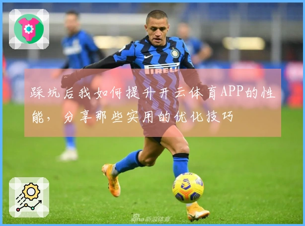 踩坑后我如何提升开云体育APP的性能，分享那些实用的优化技巧