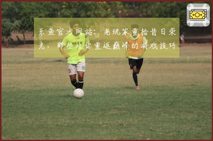 乐鱼官方网站：老玩家重拾昔日荣光，那些让你重返巅峰的游戏技巧