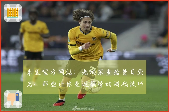 乐鱼官方网站：老玩家重拾昔日荣光，那些让你重返巅峰的游戏技巧